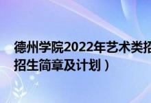 德州學(xué)院2022年藝術(shù)類招生計劃（德州學(xué)院2020年音樂類招生簡章及計劃）