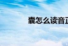 囊怎么讀音正確(囊怎么讀)