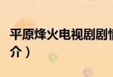 平原烽火電視劇劇情（平原烽火電視劇劇情簡(jiǎn)介）