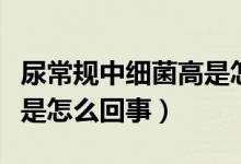 尿常規(guī)中細菌高是怎么回事（尿常規(guī)中細菌高是怎么回事）