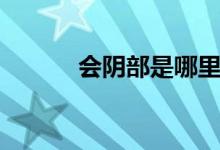會(huì)陰部是哪里（會(huì)陰部是哪里）
