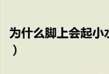 為什么腳上會(huì)起小水泡（為什么腳上會(huì)長(zhǎng)水皰）
