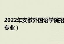2022年安徽外國語學(xué)院招生計劃及招生人數(shù)（各省都招什么專業(yè)）