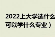 2022上大學(xué)選什么專(zhuān)業(yè)（2022高考數(shù)學(xué)不好可以學(xué)什么專(zhuān)業(yè)）