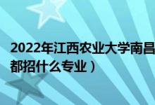 2022年江西農(nóng)業(yè)大學(xué)南昌商學(xué)院招生計劃及招生人數(shù)（各省都招什么專業(yè)）