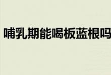 哺乳期能喝板藍根嗎（哺乳期能喝板藍根嗎）