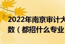 2022年南京審計大學(xué)各省招生計劃及招生人數(shù)（都招什么專業(yè)）