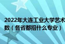 2022年大連工業(yè)大學(xué)藝術(shù)與信息工程學(xué)院招生計(jì)劃及招生人數(shù)（各省都招什么專業(yè)）