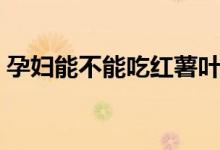 孕婦能不能吃紅薯葉（孕婦能不能吃紅薯葉）