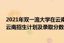 2021年雙一流大學(xué)在云南錄取情況（2022年雙一流大學(xué)在云南招生計(jì)劃及錄取分?jǐn)?shù)線）