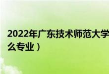 2022年廣東技術(shù)師范大學(xué)招生計(jì)劃及招生人數(shù)（各省都招什么專業(yè)）