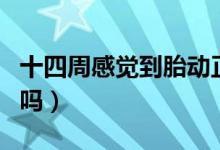 十四周感覺(jué)到胎動(dòng)正常嗎（懷孕十四周有胎動(dòng)嗎）