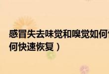 感冒失去味覺和嗅覺如何快速康復(fù)（感冒失去味覺和嗅覺如何快速恢復(fù)）
