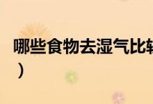 哪些食物去濕氣比較好（能祛濕的食物有哪些）