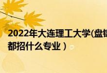 2022年大連理工大學(xué)(盤錦校區(qū))招生計(jì)劃及招生人數(shù)（各省都招什么專業(yè)）