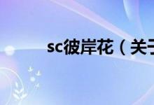 sc彼岸花（關于sc彼岸花的介紹）