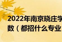2022年南京曉莊學(xué)院各省招生計劃及招生人數(shù)（都招什么專業(yè)）