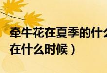 牽?；ㄔ谙募镜氖裁磿r(shí)候開(kāi)花（牽牛花的花期在什么時(shí)候）
