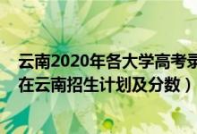 云南2020年各大學(xué)高考錄取分?jǐn)?shù)線（2022年全國(guó)各大高校在云南招生計(jì)劃及分?jǐn)?shù)）