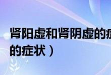 腎陽虛和腎陰虛的癥狀表現(xiàn)（腎陽虛和腎陰虛的癥狀）