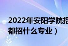 2022年安陽學院招生計劃及招生人數(shù)（各省都招什么專業(yè)）