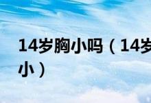 14歲胸小嗎（14歲女孩的胸為什么還是這么?。?class=
