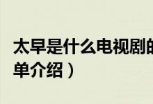 太早是什么電視劇的主題曲啊（有這部劇的簡單介紹）