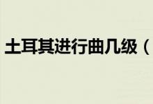 土耳其進(jìn)行曲幾級（土耳其進(jìn)行曲是第八級）