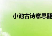 小池古詩意思翻譯（小池古詩意思）