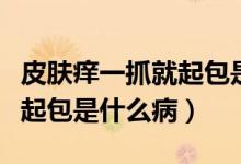 皮膚癢一抓就起包是怎么回事（皮膚癢一抓就起包是什么?。?class=