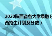 2020陜西省各大學(xué)錄取分?jǐn)?shù)線（2022年全國(guó)各大高校在陜西招生計(jì)劃及分?jǐn)?shù)）