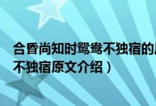 合昏尚知時鴛鴦不獨宿的后面一句是什么（合昏尚知時鴛鴦不獨宿原文介紹）
