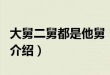 大舅二舅都是他舅（關于大舅二舅都是他舅的介紹）