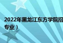 2022年黑龍江東方學(xué)院招生計(jì)劃及招生人數(shù)（各省都招什么專業(yè)）