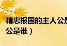 精忠報國的主人公是誰視頻（精忠報國的主人公是誰）