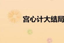 宮心計大結局（有多少人看過）