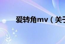 愛轉角mv（關于愛轉角mv的介紹）