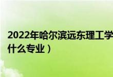 2022年哈爾濱遠(yuǎn)東理工學(xué)院招生計(jì)劃及招生人數(shù)（各省都招什么專業(yè)）