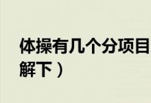 體操有幾個(gè)分項(xiàng)目,分別為什么（快來這里了解下）