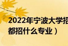 2022年寧波大學招生計劃及招生人數(shù)（各省都招什么專業(yè)）
