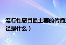 流行性感冒最主要的傳播途徑（流行性感冒最主要的傳播途徑是什么）