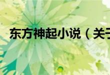 東方神起小說(shuō)（關(guān)于東方神起小說(shuō)的介紹）