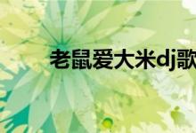 老鼠愛(ài)大米dj歌詞（完整版dj歌詞）