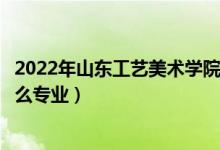 2022年山東工藝美術(shù)學(xué)院招生計劃及招生人數(shù)（各省都招什么專業(yè)）