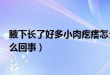 腋下長了好多小肉疙瘩怎么回事（腋下長了一個(gè)小肉疙瘩怎么回事）