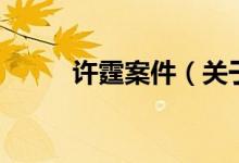 許霆案件（關于許霆案件的介紹）