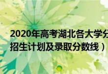 2020年高考湖北各大學分數線（2022年雙一流大學在湖北招生計劃及錄取分數線）