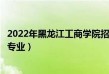 2022年黑龍江工商學(xué)院招生計(jì)劃及招生人數(shù)（各省都招什么專業(yè)）