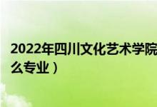 2022年四川文化藝術(shù)學(xué)院招生計劃及招生人數(shù)（各省都招什么專業(yè)）