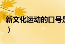 新文化運(yùn)動的口號是什么（新文化運(yùn)動的口號）